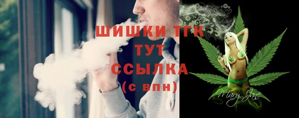 индика Нягань