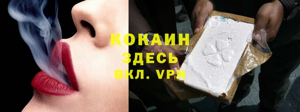 индика Нягань