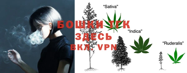 дмт Новокубанск