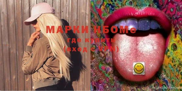 индика Нягань