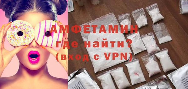 индика Нягань