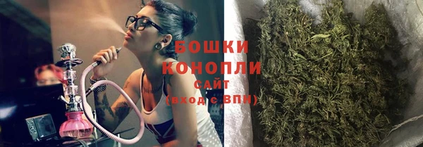спиды Новодвинск