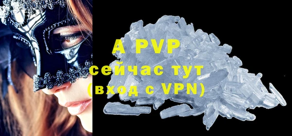 спиды Новодвинск