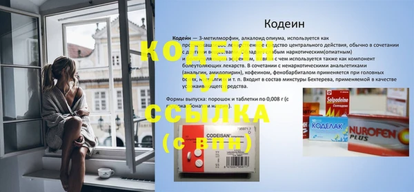индика Нягань
