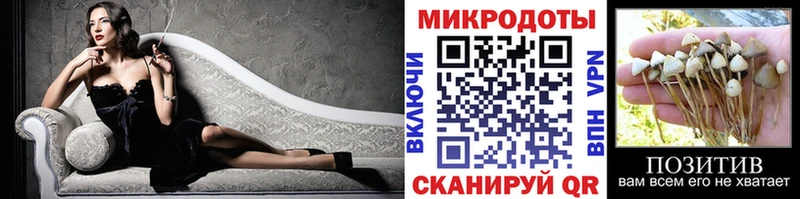 Галлюциногенные грибы Cubensis mega как войти Отрадное